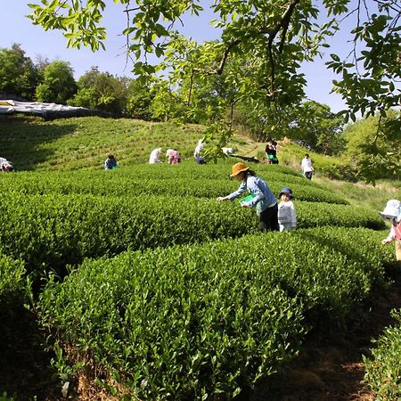 他们的京都旅馆 Kizugawa 外观 照片
