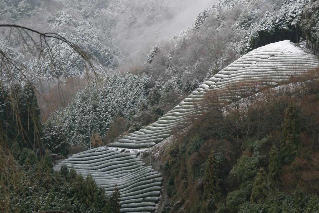 他们的京都旅馆 Kizugawa 外观 照片