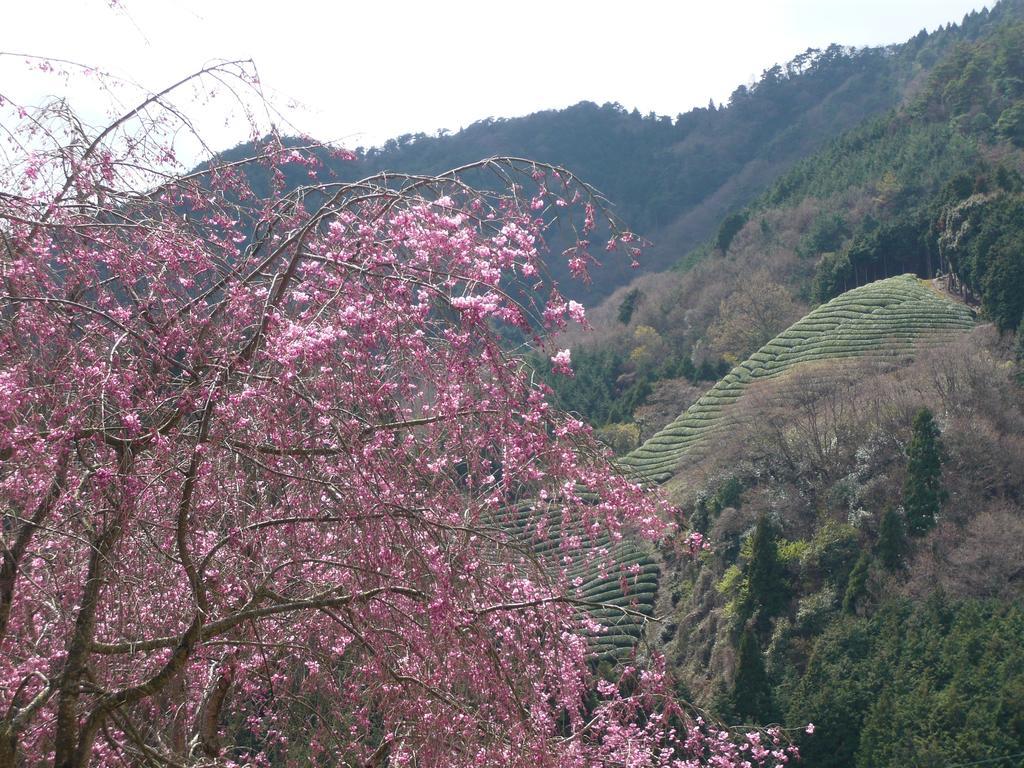 他们的京都旅馆 Kizugawa 外观 照片