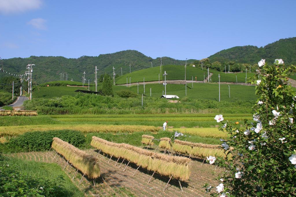 他们的京都旅馆 Kizugawa 外观 照片