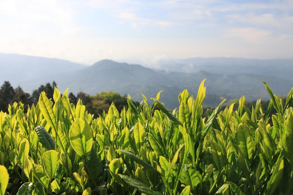 他们的京都旅馆 Kizugawa 外观 照片