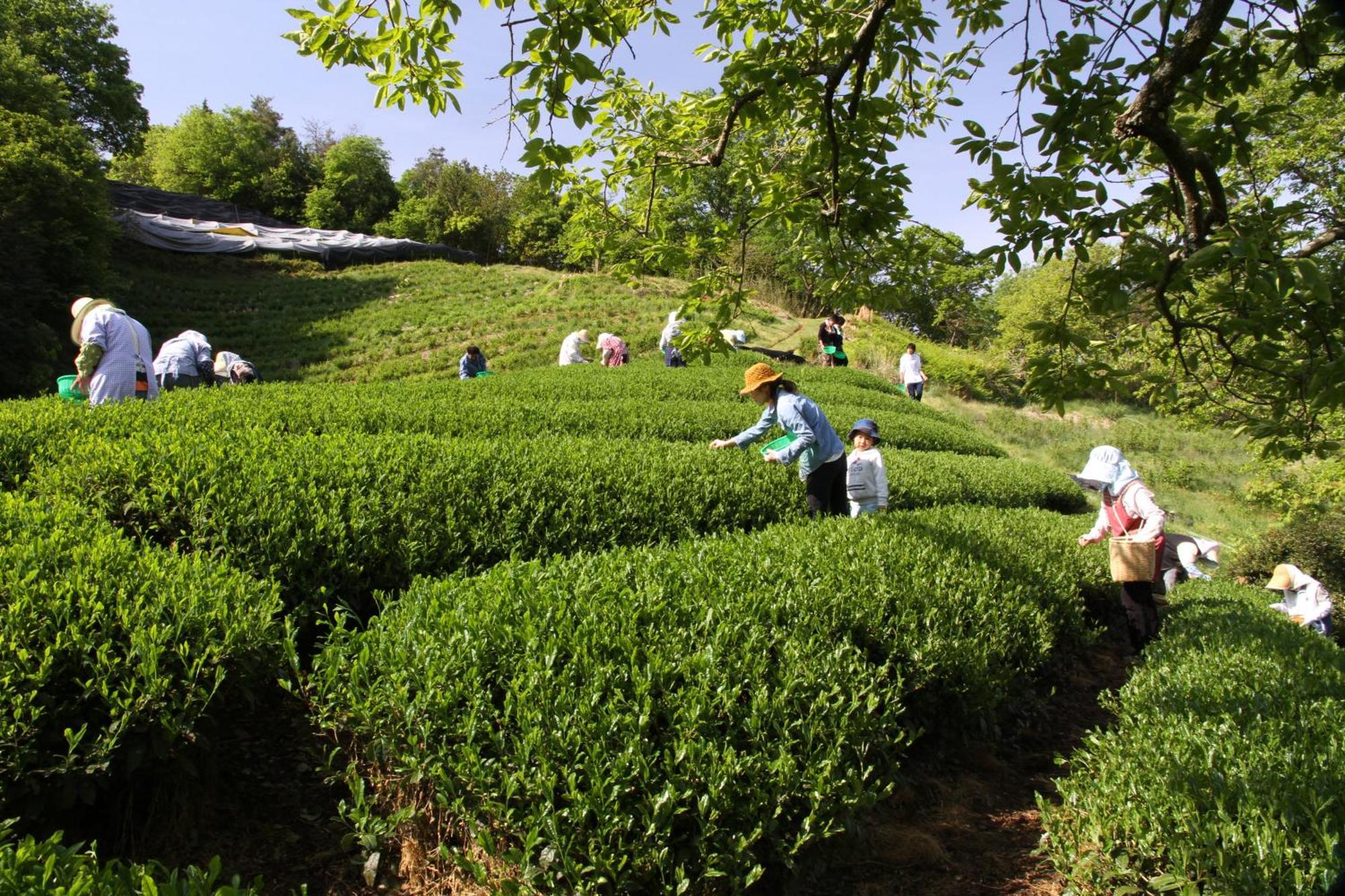 他们的京都旅馆 Kizugawa 外观 照片
