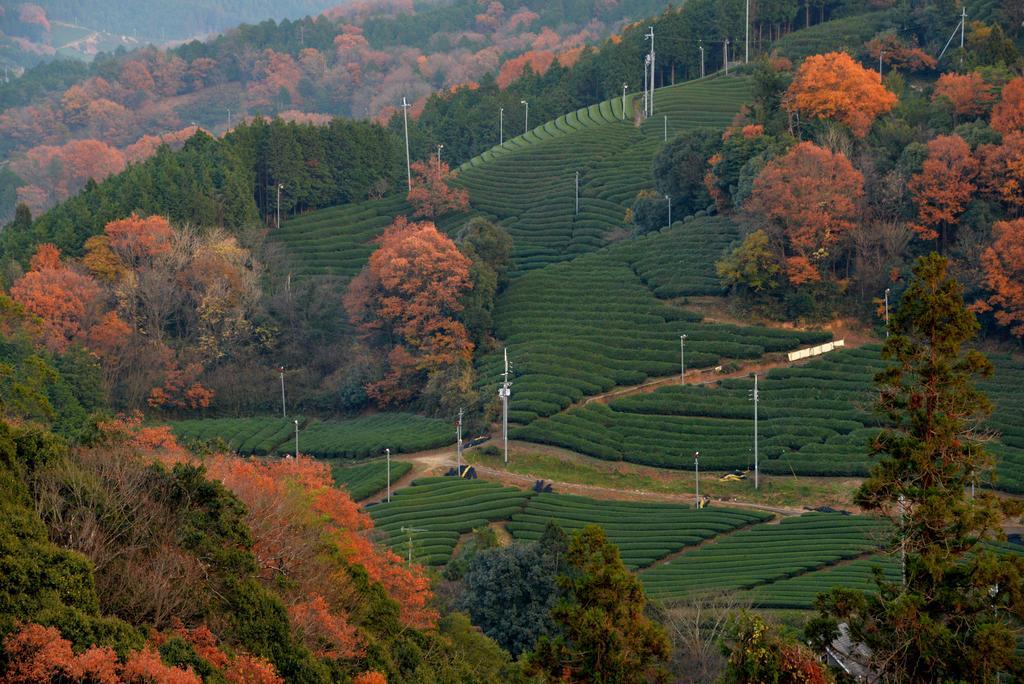 他们的京都旅馆 Kizugawa 外观 照片