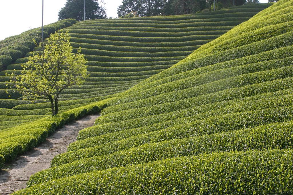 他们的京都旅馆 Kizugawa 外观 照片