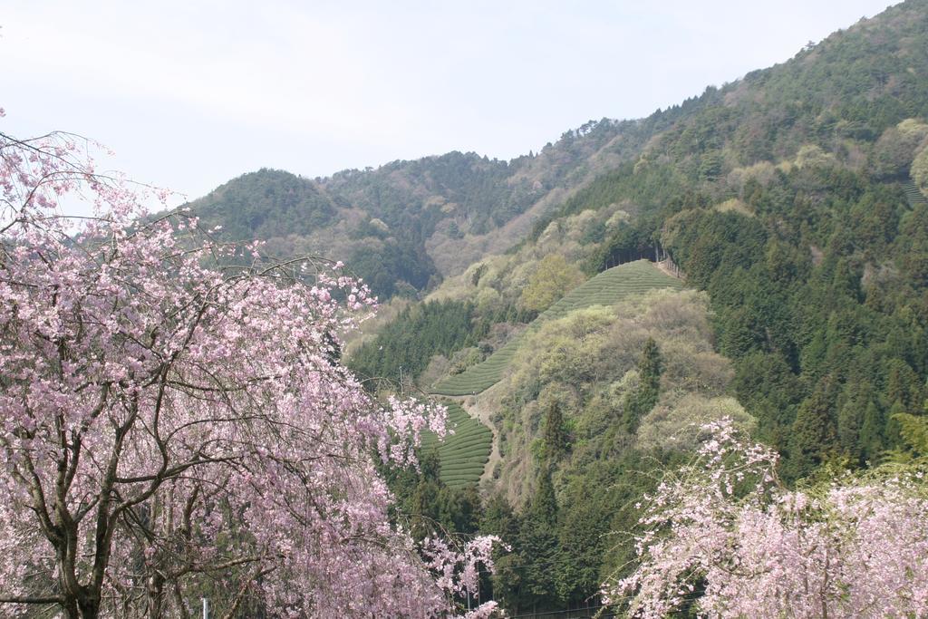 他们的京都旅馆 Kizugawa 外观 照片