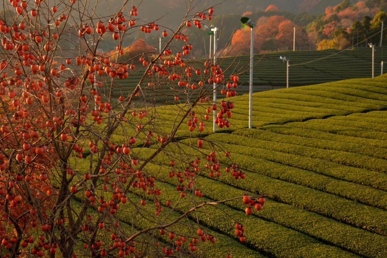 他们的京都旅馆 Kizugawa 外观 照片